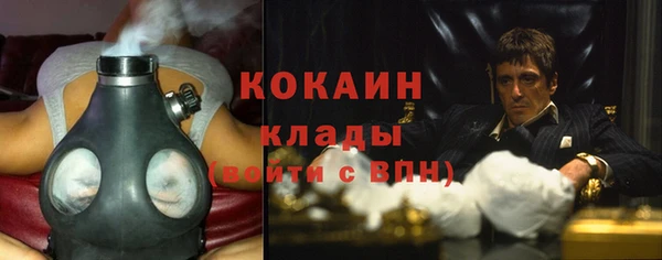 spice Арсеньев
