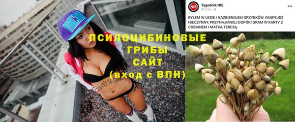 spice Арсеньев