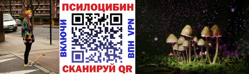 Галлюциногенные грибы Cubensis  Купить где  Тихорецк 